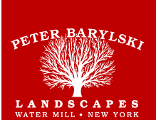 Peter Barylski Landscapes , Water Mill, New York